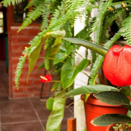 El Pedron Hotel 巴尼奥斯 外观 照片